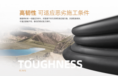 丰果（中国限公司的兴起